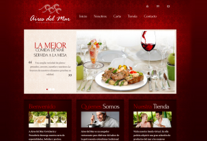 Diseño y desarrollo de aplicaciones y sitios web, tiendas, carrito de compras, posicionamiento web smsolucionesalmaedida.com Diseño sitios web posicionamiento google smsolucionesalmaedida.com