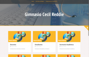 Diseño y desarrollo de aplicaciones y sitios web, tiendas, carrito de compras, posicionamiento web smsolucionesalmaedida.com Sistema de información Reporte Maestro Web Cecil Reddie