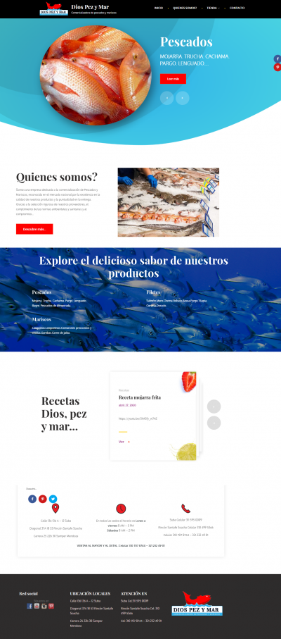 Diseño web smsolucionesalamedida.com Diseño web smsolucionesalamedida.com