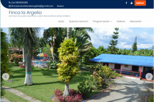 Diseño y desarrollo de aplicaciones y sitios web, tiendas, carrito de compras, posicionamiento web smsolucionesalmaedida.com Diseño y desarrollo de aplicaciones y sitios web smsolucionesalamedida.com