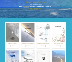 Diseño y desarrollo aplicaciones y sitios web carrito de compras smsolucionesalamedida.com Diseño y desarrollo aplicaciones y sitios web carrito de compras smsolucionesalamedida.com