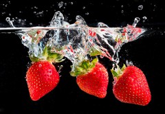 Diseño Grafico Diseño Web smsolucionesalamedida.com Diseño Grafico Diseño Web smsolucionesalamedida.com